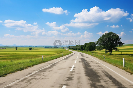 乡村草地中的道路图片