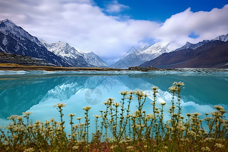 碧海蓝天的自然景观图片