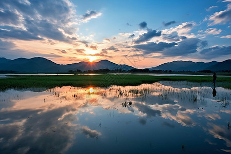 夕阳中的湖畔图片