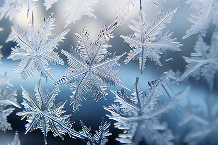 冬天在窗户上的雪花背景图片