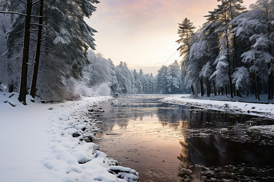 冬日林中的溪流图片