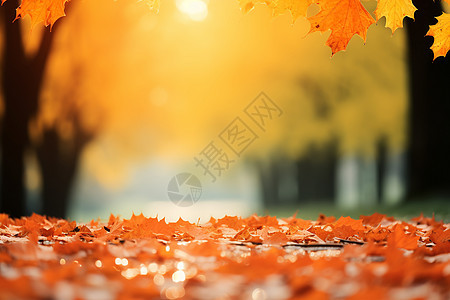 秋日公园的落叶图片