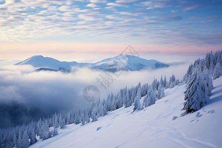 大雪天气雪山与树木背景