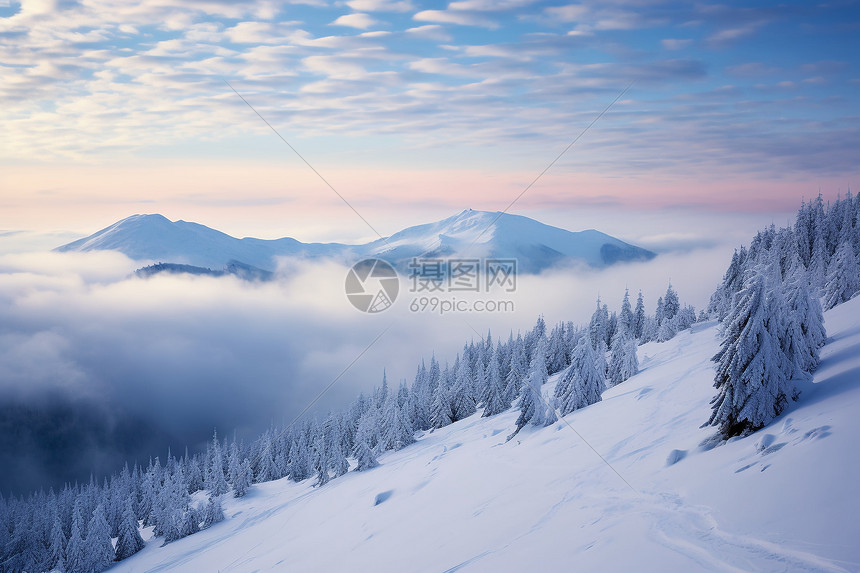 雪山与树木图片