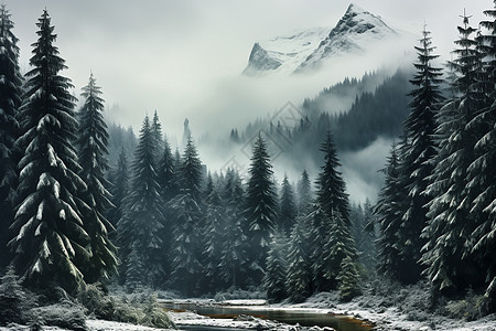冬季森林山脉的奇特景观图片