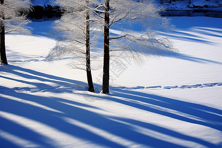 冬日积雪的公园图片