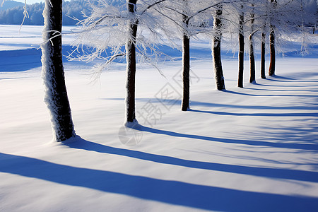 宏伟的雪地景观图片