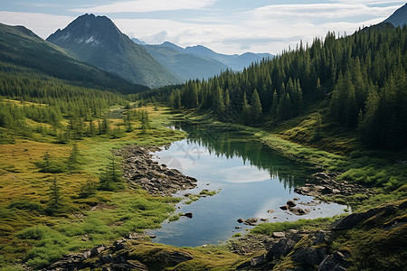 郁郁葱葱的森林山谷景观图片