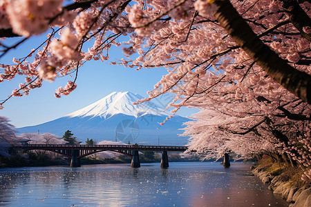 美丽的富士山风景区图片