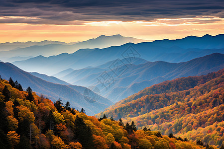 秋季山丘森林的美丽景观图片