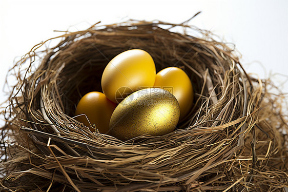 鸟巢中的金色彩蛋图片