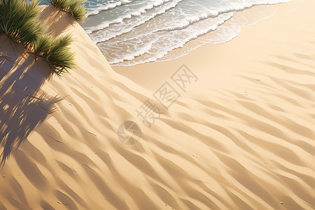 夏季柔软的沙滩图片