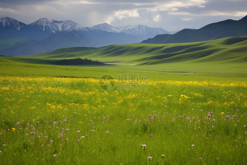 大山下的草原景色图片