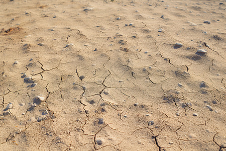 夏季干涸的土地背景图片