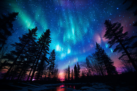 神奇北极光下的森林夜景高清图片