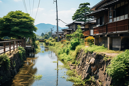 乡村美景小溪旁的美景背景