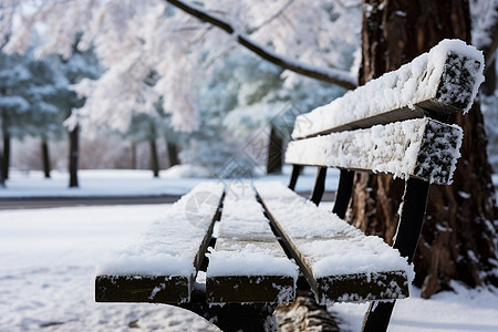 冬日飘雪图片