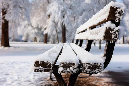 小雪冬季森林之雪背景