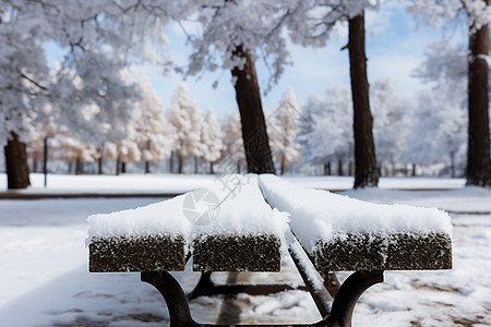 冬日公园的白雪长椅背景图片