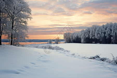 冬季的俄罗斯图片
