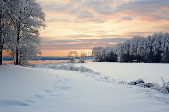 冬季的俄罗斯图片