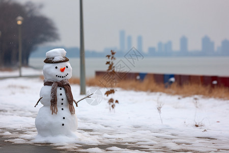 装饰的雪人背景图片