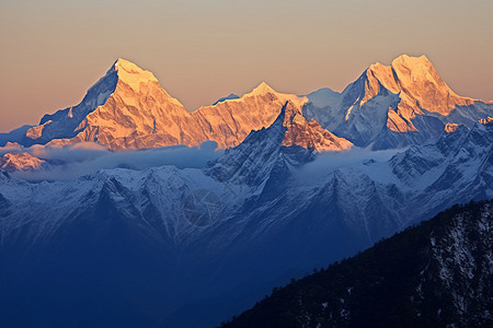 金黄群山图片