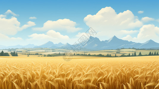 金黄的麦田图片