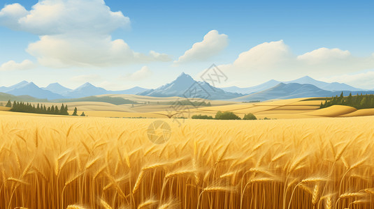 金色稻田背景图片