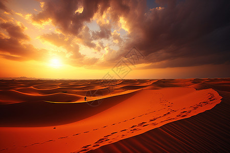 沙丘上的景色图片