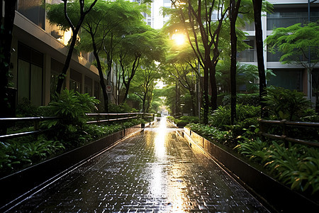 雨中的城市住宅小区图片