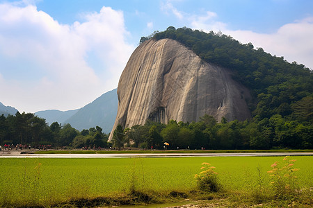 美丽的山间湿地景观图片