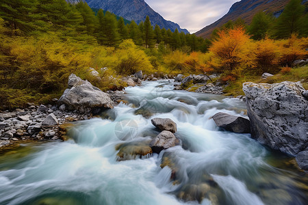 秋季山谷森林的美丽景观图片