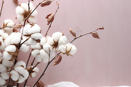 绵软的棉花花束背景图片