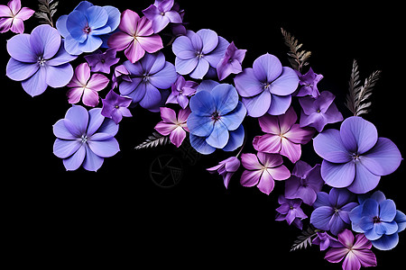 美丽绽放的紫花图片