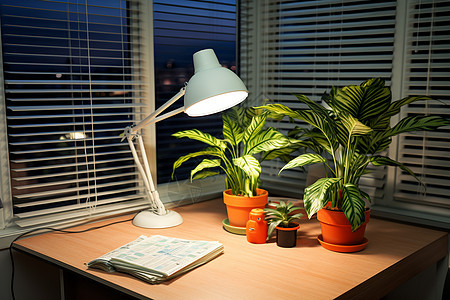 桌子上的台灯和植物图片
