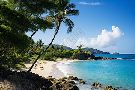 美丽的热带海滩背景图片