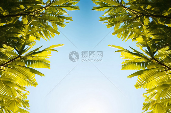 美丽的夏日天空图片