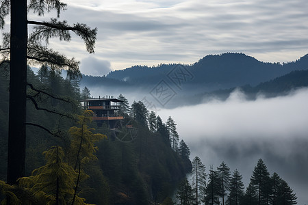 神秘的夏季山林景观图片