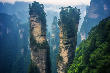 夏季山谷中的壮观景象图片