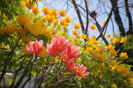 美丽的花海景观图片