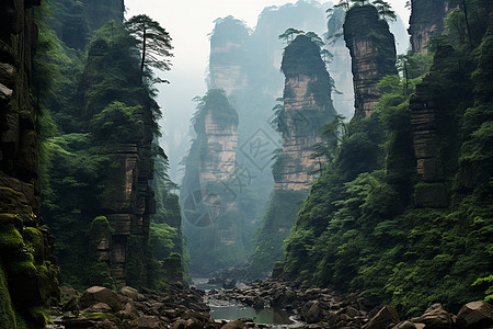 薄雾弥漫的张家界景观图片