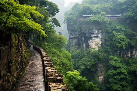 夏季茂盛的峡谷山路图片