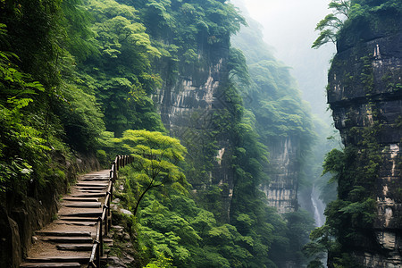 陡峭悬崖上的山路图片