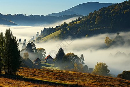 秋季雾气弥漫的山间景观林图片