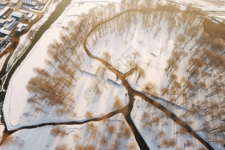 冬日飞雪的天气图片素材