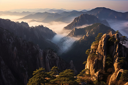 松树谷太行山中的云海背景