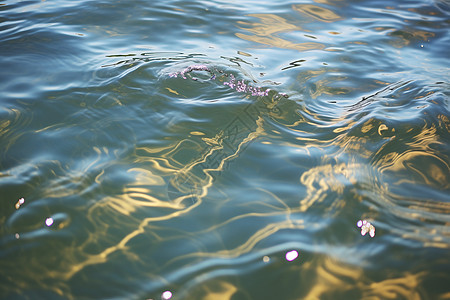 水中的抽象之美图片