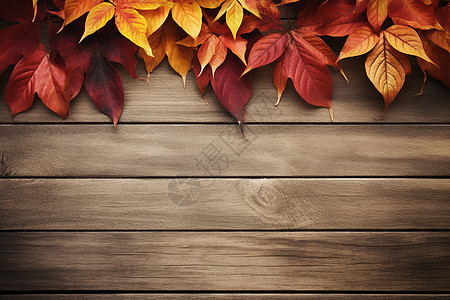 木质背景上的秋叶图片