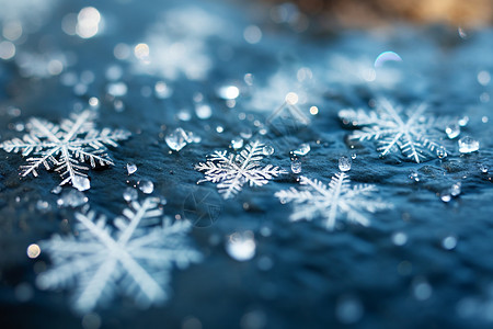 雪花的美妙瞬间背景图片